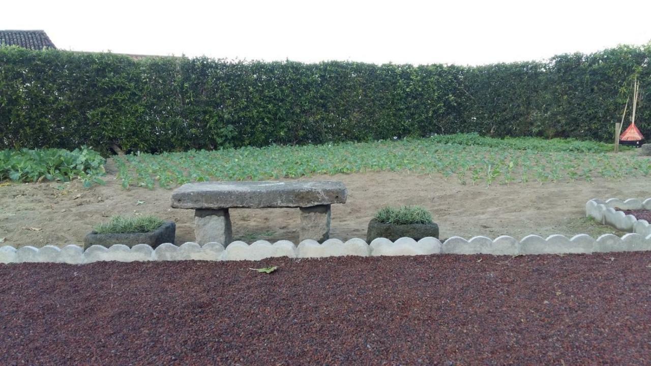 Casas Da Quinta Villa Ribeira Grande Exteriör bild